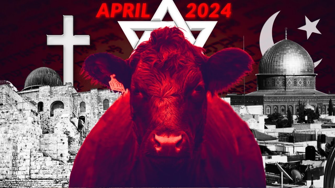 When This Happens ... It's The Start Of ARMAGEDDON!! Red Heifer Prophecy - April 2024