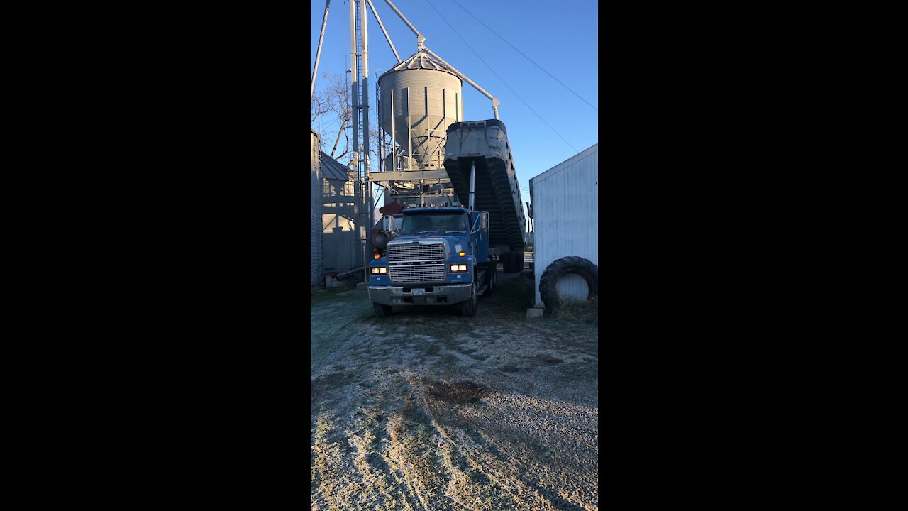 1993 Ford LTL 9000 dumping Corn