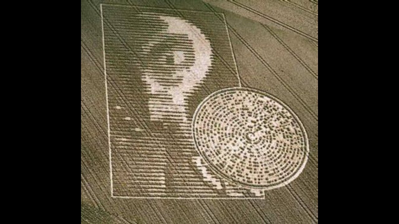 A MESSAGE FOR HUMANITY in Crop Circles