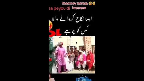 funny videos