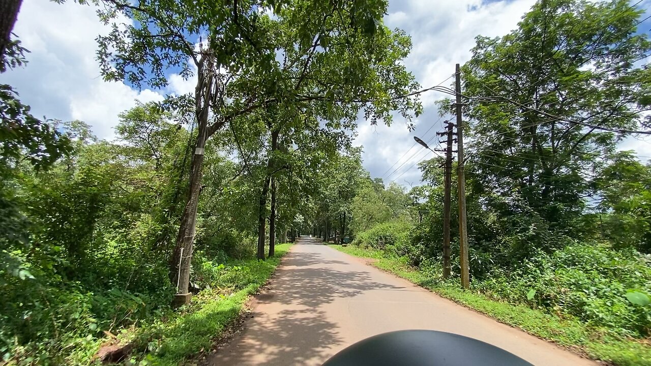 Jungle ride 2