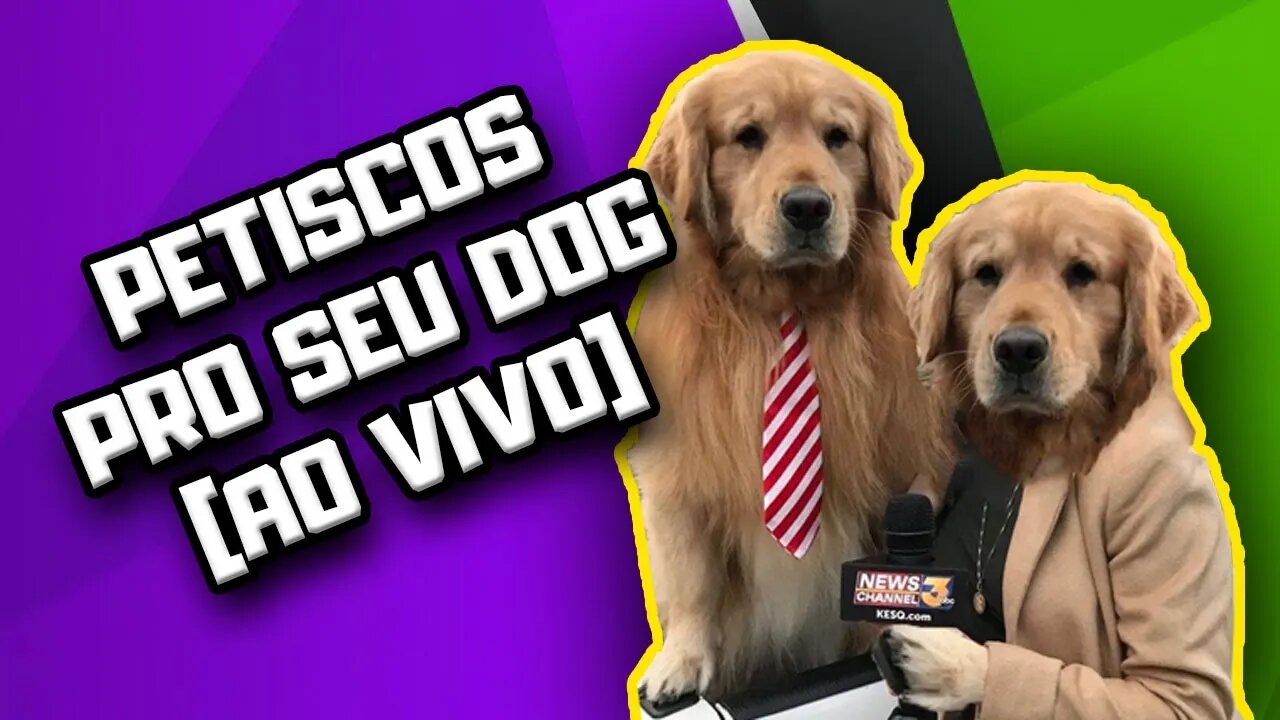 Qual a importância dos Petiscos? ft Aline Caofeitaria Fit | Alimentação natural para Cães