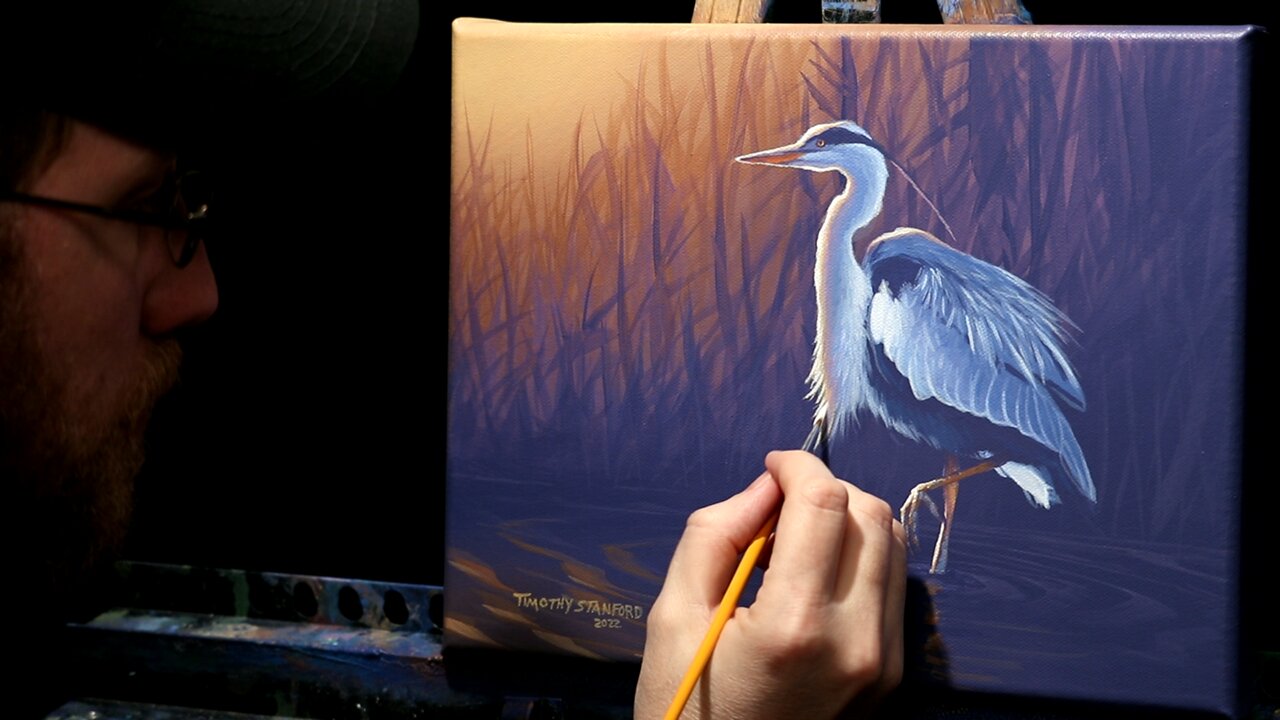 Acrylic Wildlife Painting of a Heron - Time Lapse - Artist Timothy Stanford