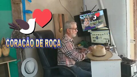 CORAÇÃO DE ROÇA DOMINGO A VISITA DOS MICOS E A MULHER GATO