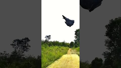 Naka gulat naman Ito