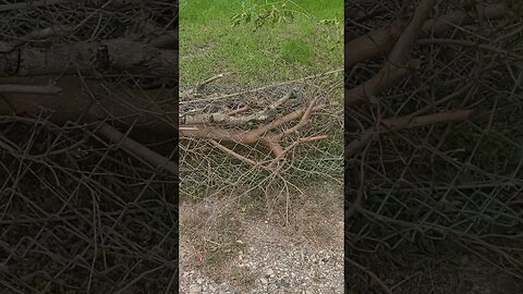 triple danger #shorts