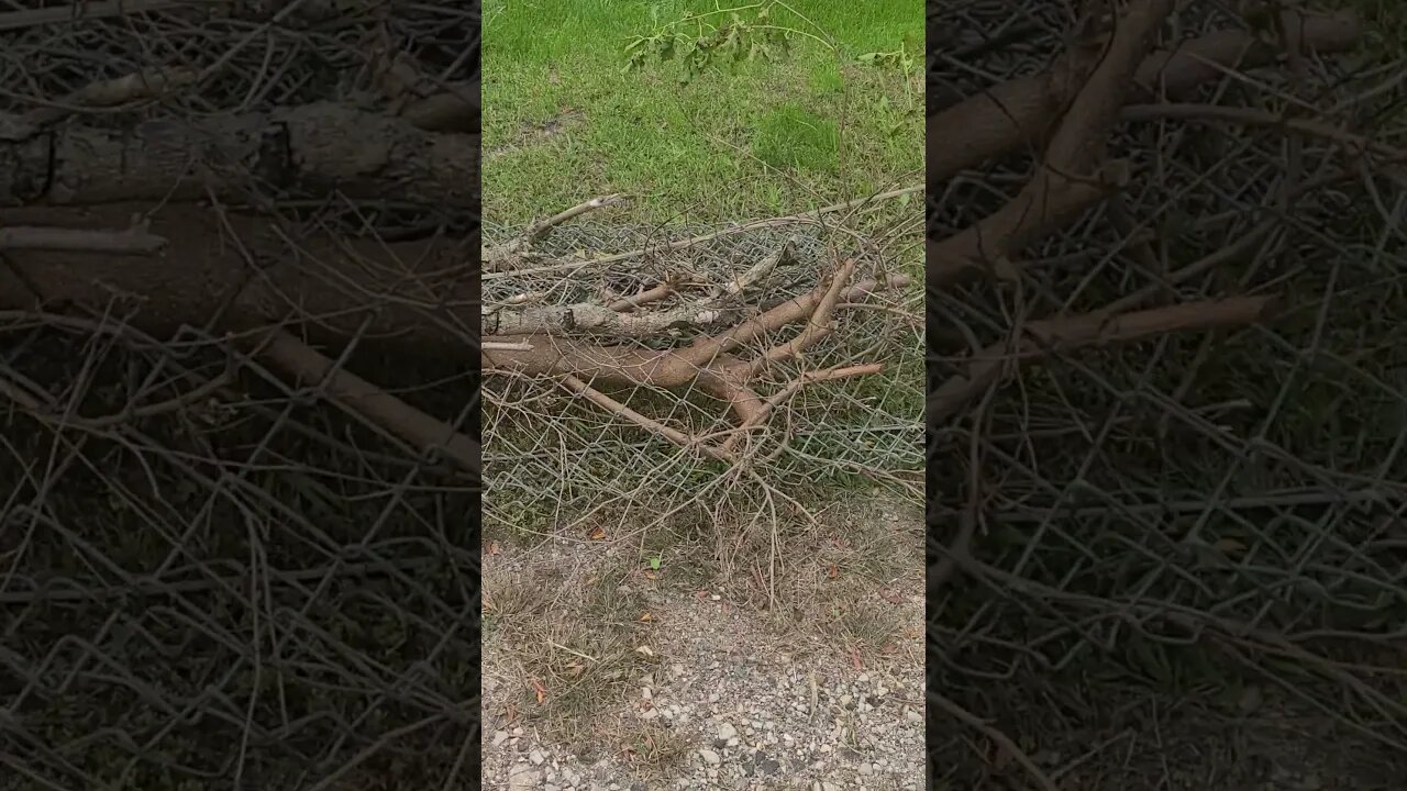 triple danger #shorts