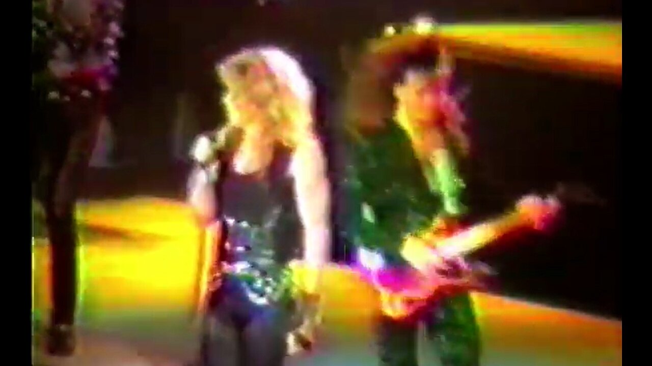 1990 Whitesnake & Bad English Concert Memories