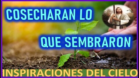 COSECHARAN LO QUE SEMBRARON - MENSAJE DE JESUCRISTO REY A INSPIRACIONES DEL CIELO ABRIL 2022