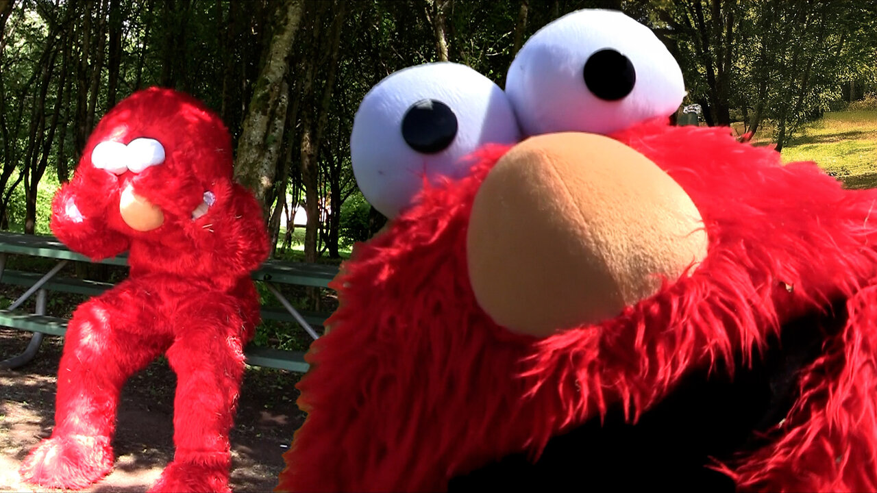 SH*T ELMO SAYS