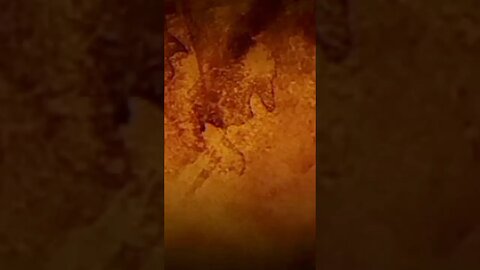 #shortvideo #funny #comedy #trending #shorts #short #viral #tiktok #video