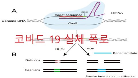 코로나사이언스, 기초과학연구원, 바이러스 구조적 특징, 침투 경로 차단하는 치료전략, 유전자 서열, 계절유행성, 독감백신효과, 감기, 코비드19, 통계로 이상한 corona