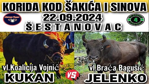 Jelenko braća Bagušić vs Kukan Koalicija Vojnić