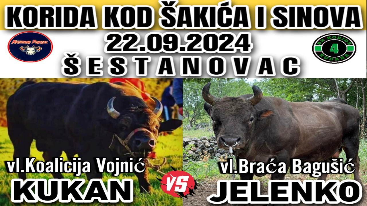 Jelenko braća Bagušić vs Kukan Koalicija Vojnić