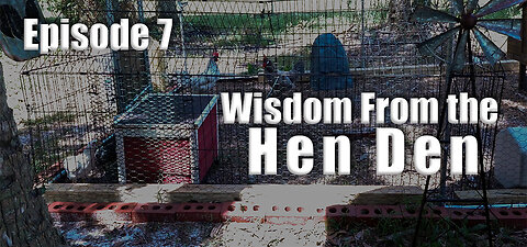 Wisdom From the Hen Den - Episode 7 - Start the Day Screaming