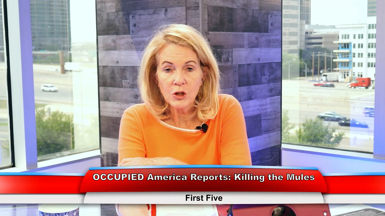 OCCUPIED America Reports: Killing the Mules | First Five 5.09.22