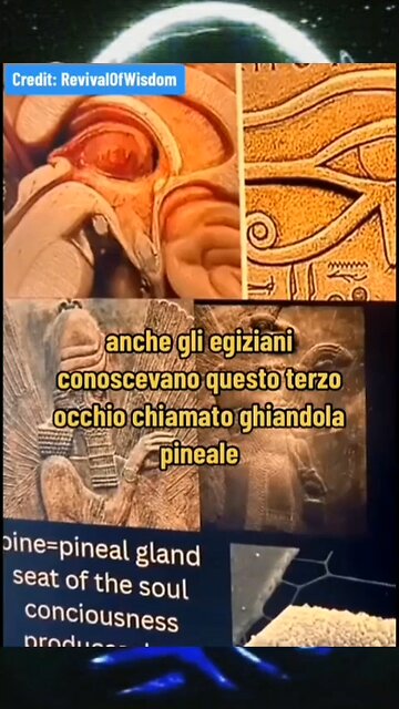 Tutte le Religioni Occultano la Verità allo Stesso Modo