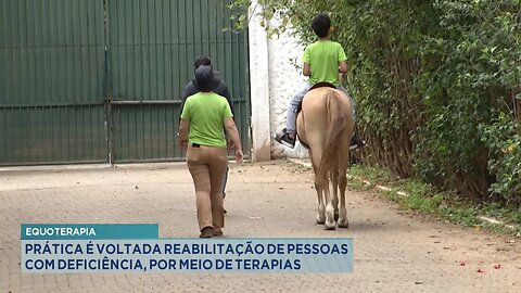 Equoterapia: Pratica voltada à reabilitação de pessoas com deficiência por meio de terapias.