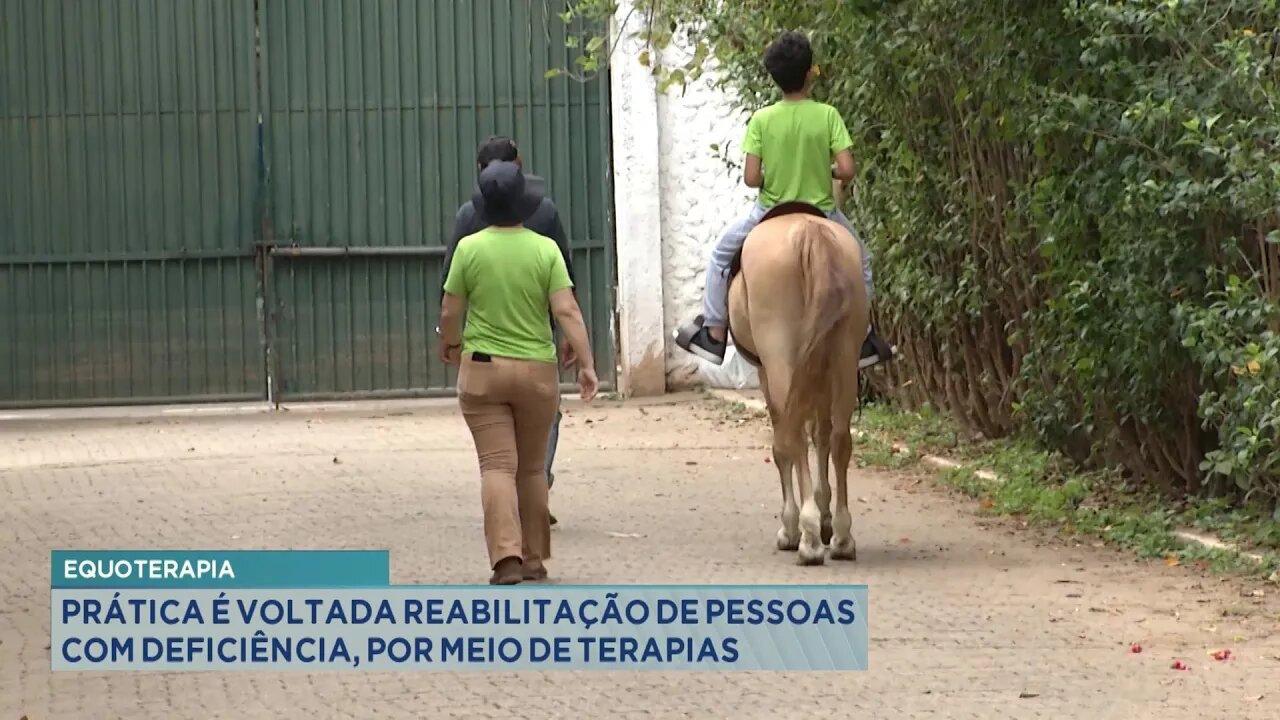 Equoterapia: Pratica voltada à reabilitação de pessoas com deficiência por meio de terapias.
