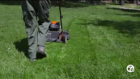 Royal Oak is latest Michigan city to join 'No Mow May'
