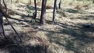200 Subscribers Thanks everyone 31 October 2021