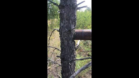 And this is just a 125 mm HEAT tank projectile stuck in a tree. Like a BK-14m.