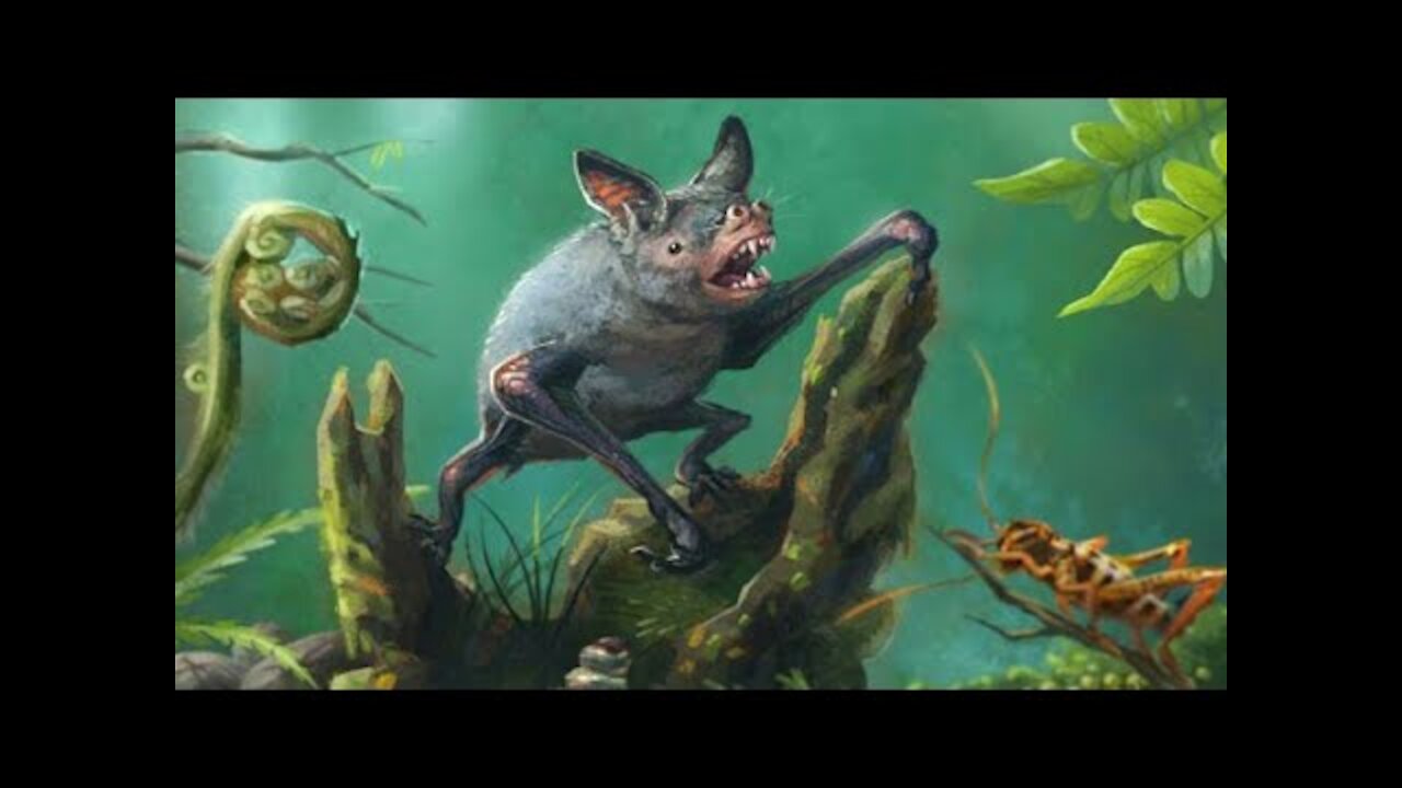 Fossils Reveal Giant New Species of Burrowing Bat: Vulcanops jennyworthyae