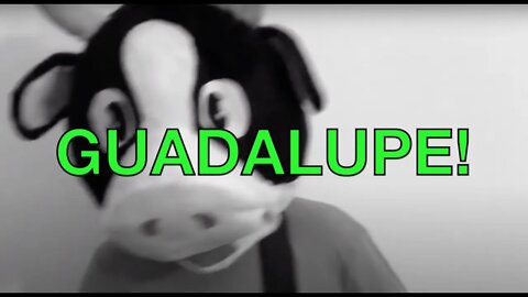 Happy Birthday GUADALUPE! - COW Happy Birthday Song
