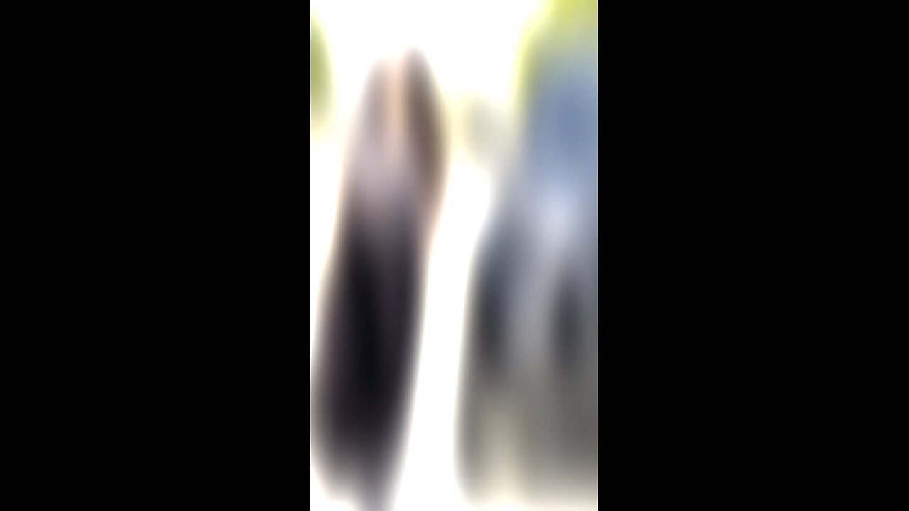 punjabi song reels girl