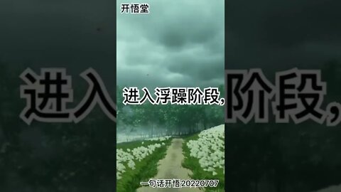 一句话开悟20220707