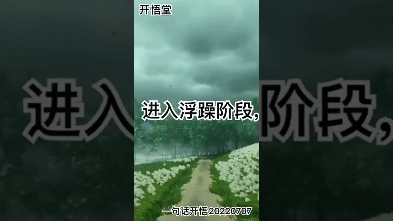 一句话开悟20220707