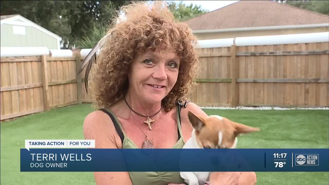 Pinellas County couple finds lost dog in Georgia and reunites her with owner