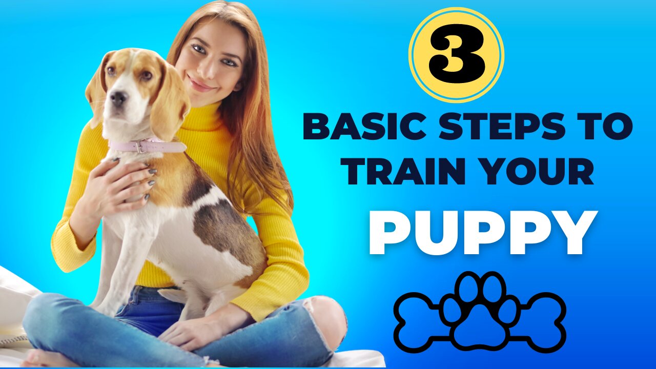 3 Easy Things to Teach your NEW PUPPY!