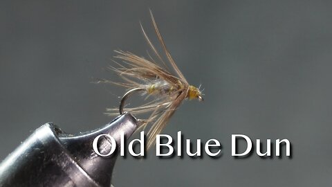 Old Blue Dun