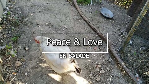 Peace & Love en balade