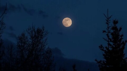 Whyte House Daily Devotional Reading of Charles Spurgeon’s Morning and Evening #1