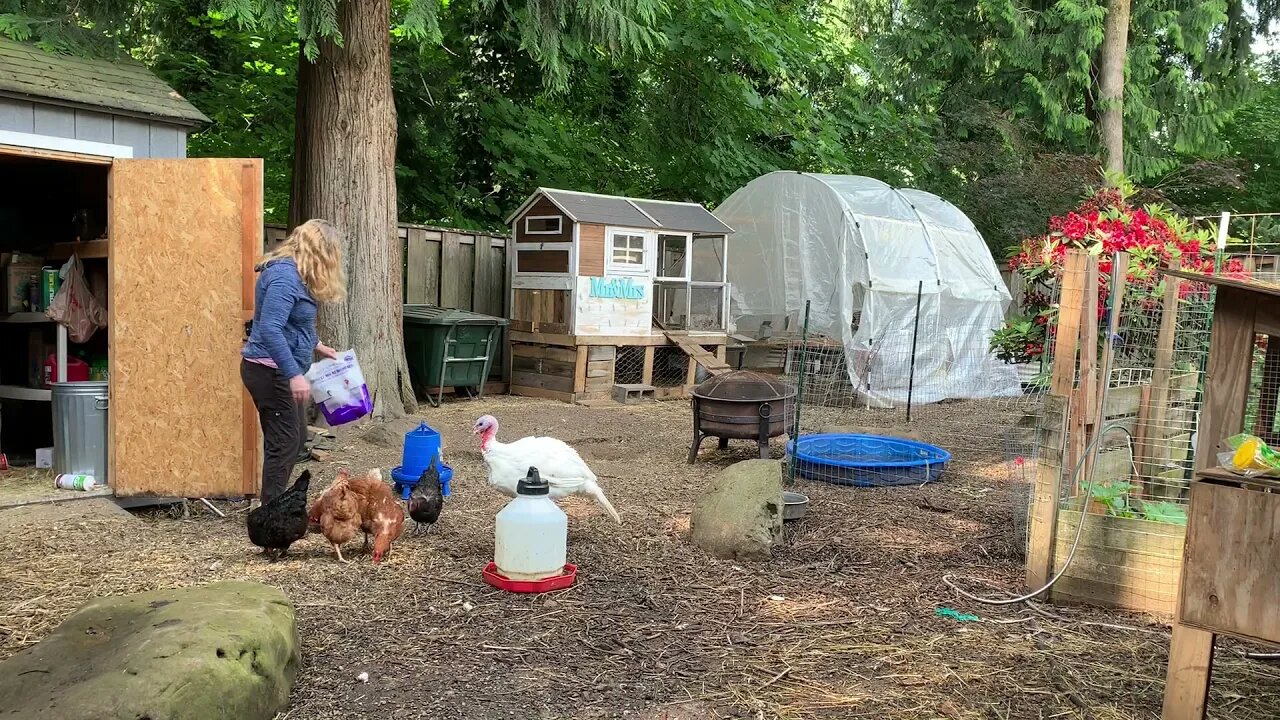 Flight lesson canceled due to maintenance