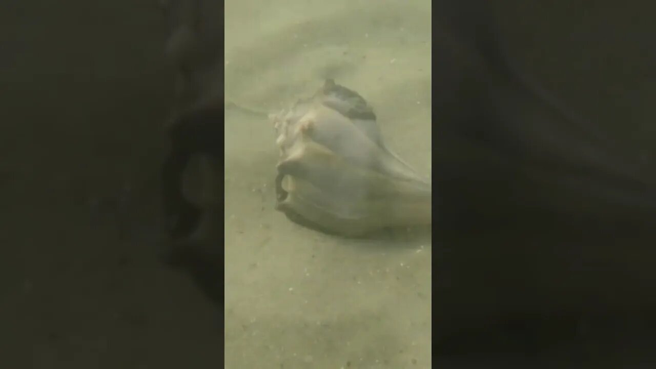 Swimming underwater at Atlantic Beach #shorts