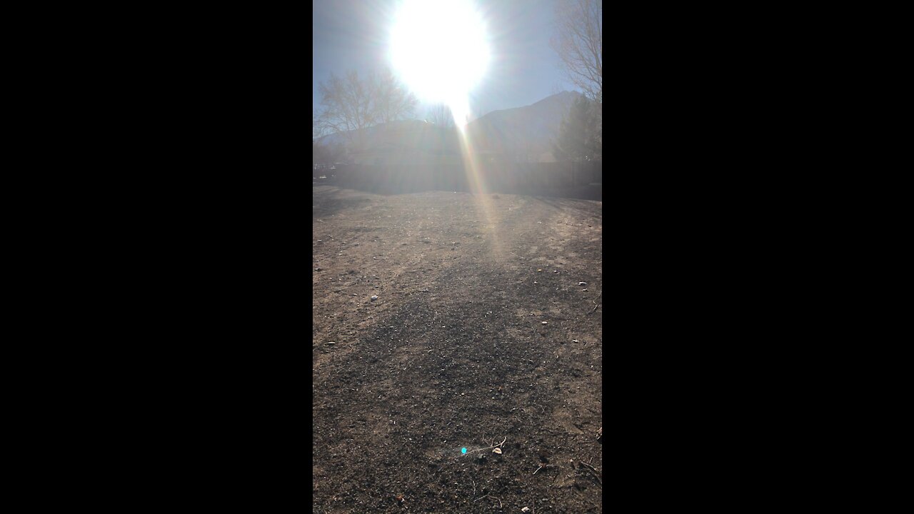 Life from the light