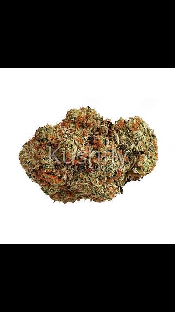 DR. K Curred Budder - Drew x Dr. K (Doctor Kush)