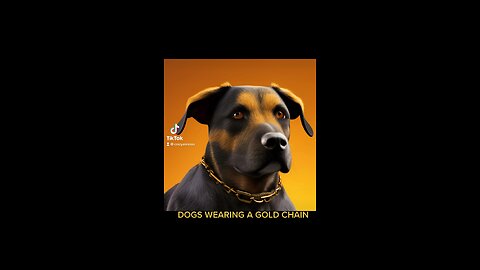 DOGS WEARING A GOLD CHAIN