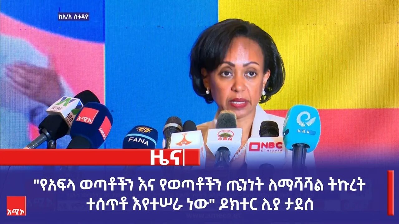 "የአፍላ ወጣቶችን እና የወጣቶችን ጤንነት ለማሻሻል ትኩረት ተሰጥቶ እየተሠራ ነው" የጤና ሚኒስትሯ ዶክተር ሊያ ታደሰ