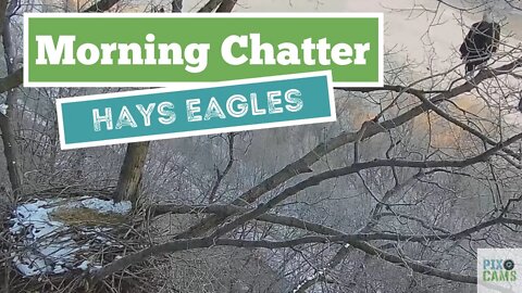 Hays Eagles Early Morning Chatter 2022 01 27 08 07 28 969