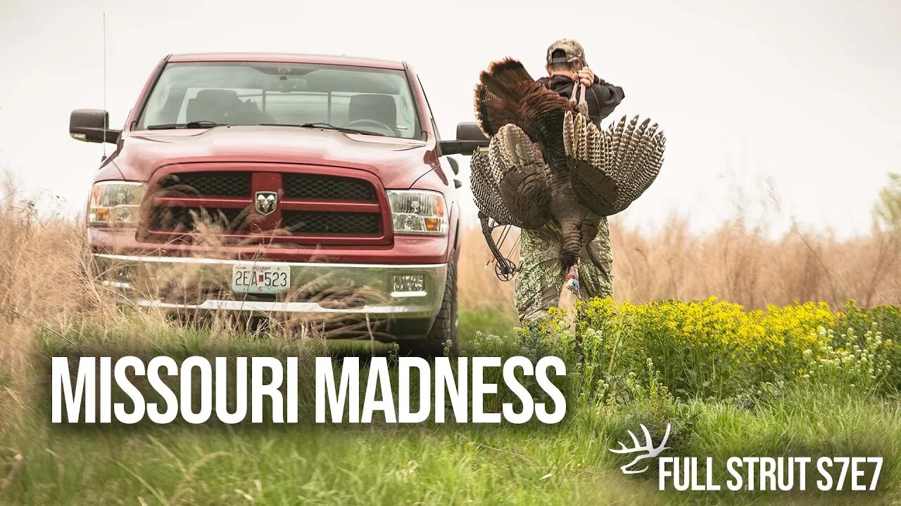 Opening Day Father-Son Archery Turkey Success - Full Strut S7E7 - Missouri Madness