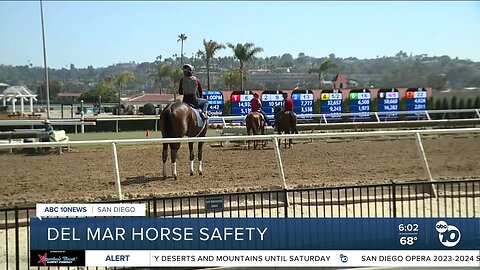 Discussing safety at the Del Mar Racetrack