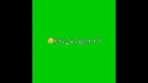 Pashto green screen poetry __ Green screen status poetry __ Green screen shayeri 2022