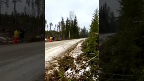 INCREVA POR FAVOR - ENTRETENIMENTO - SUBSCRIBE PLEASE - ENTERTAINMENT