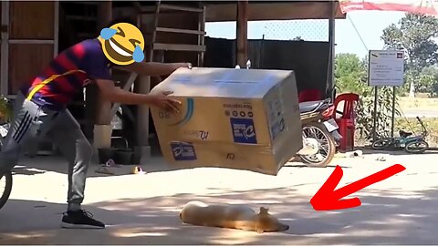 Furry Fail Compilation: The Funniest Pet Pranks Ever!