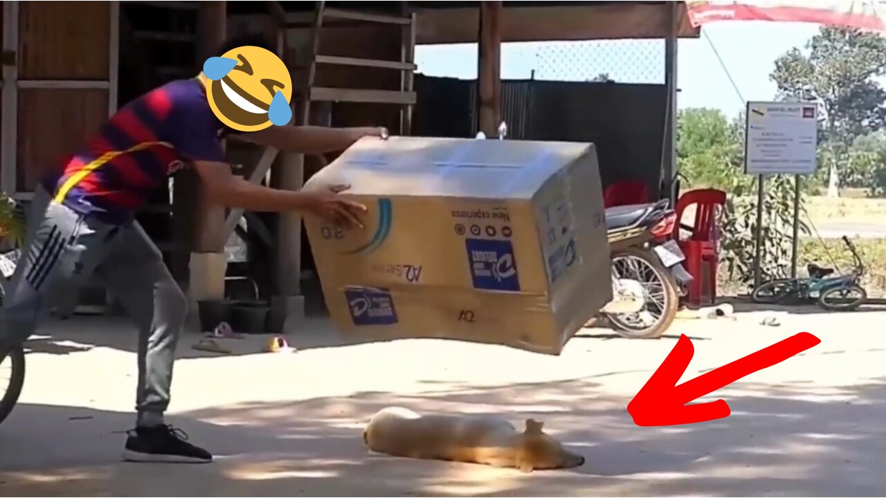 Furry Fail Compilation: The Funniest Pet Pranks Ever!