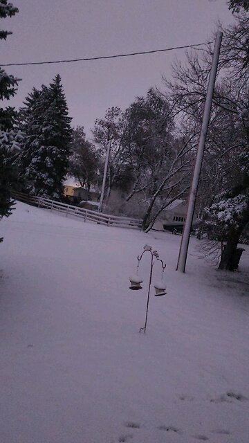 good morning from Mohall